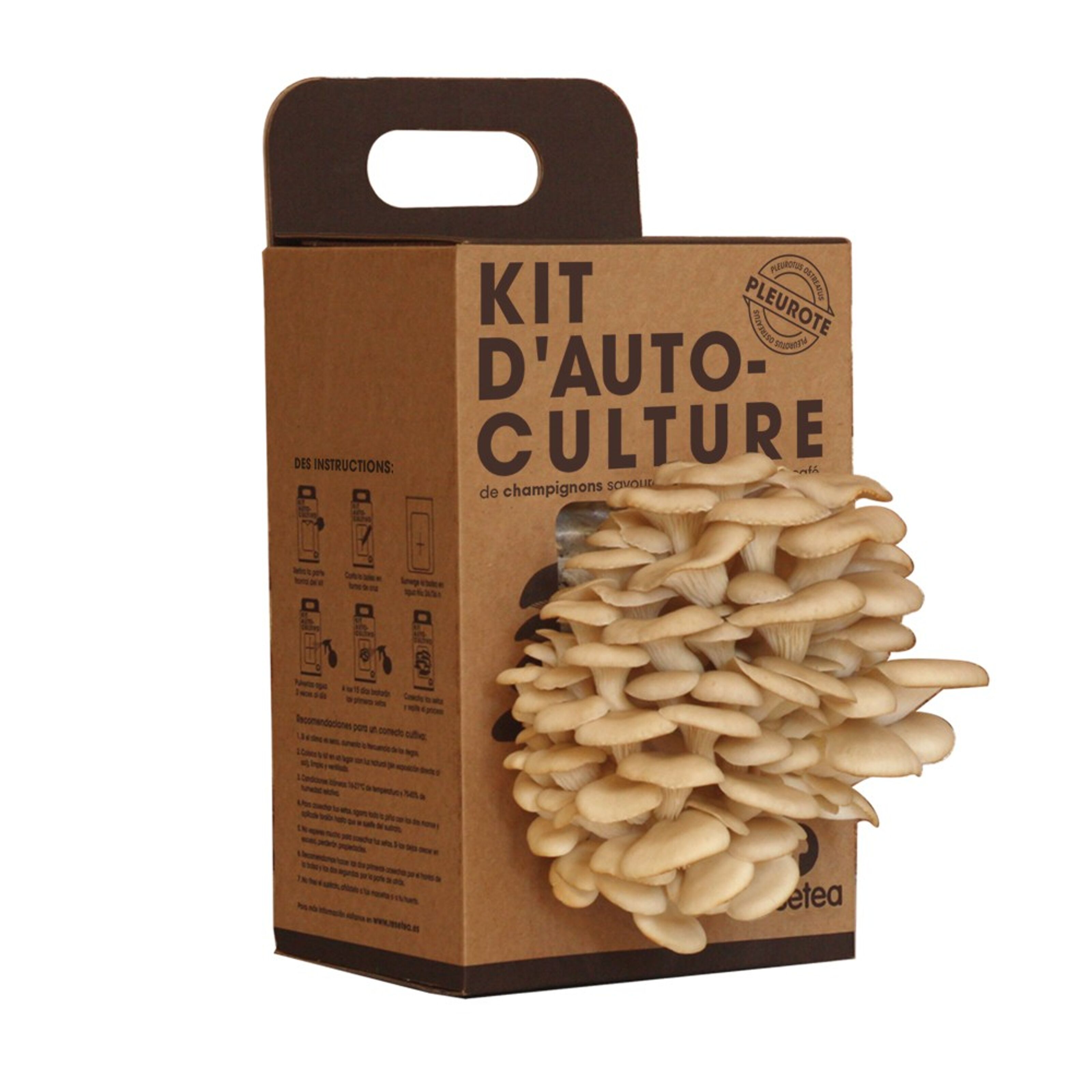 kit champignons