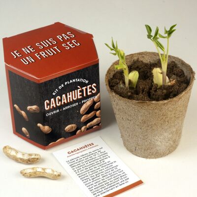 Kit Cachuètes "je ne suis pas un fruit sec"