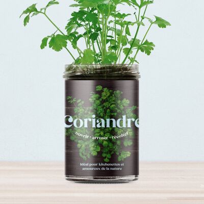 Potagers de cuisine “Coriandre”