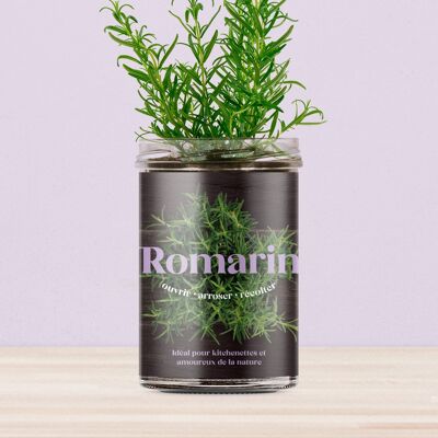 Potagers de cuisine “Romarin”