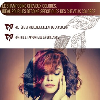 Capillor Shampooing Cheveux Colorés - Flacon 1L 6