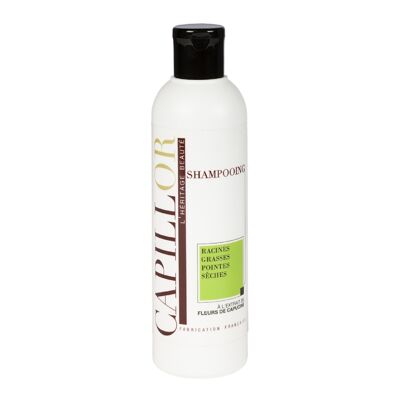 Capillor Dry Ends Oily Roots Shampoo - 250-ml-Flasche