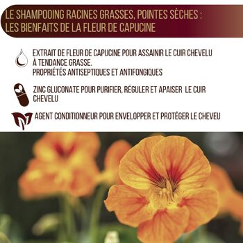 Capillor Shampooing Racines Grasses Pointes Sèches - Flacon 250ml 5