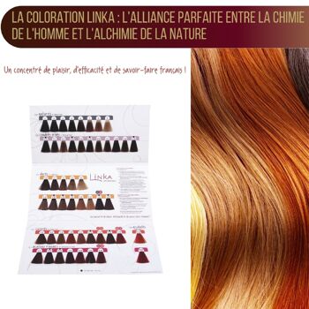 Coloration LINKA 6.12 - Blond foncé cendré perlé - Etui de 3 tubes de 90ml 6