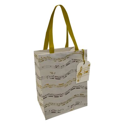 DAVINCI MUSIC NOTE MED GIFT BAG , Sku228