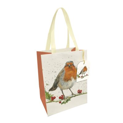 RODNEY ROBIN LARGE GIFT BAG , Sku817