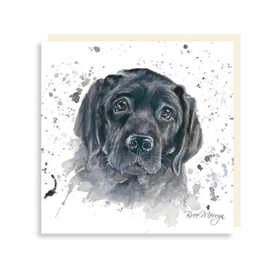 LUNA BLACK LAB MINI CARD , Sku831