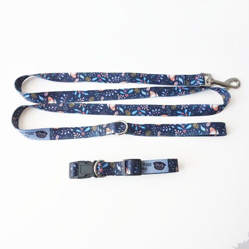 Enchanted Forest print  lead and collar set