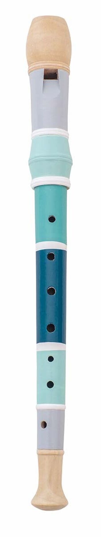 Recorder blue