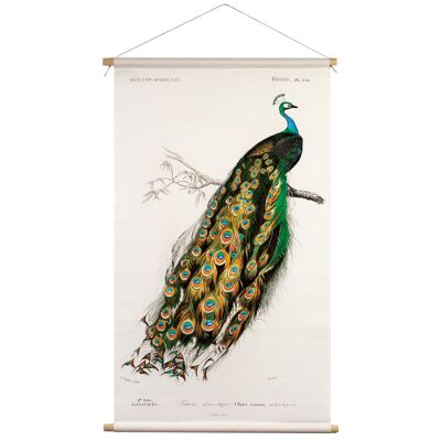 Wall cloth Peacock Charles D'Orbigny 65x45cm - textile poster with leather cord