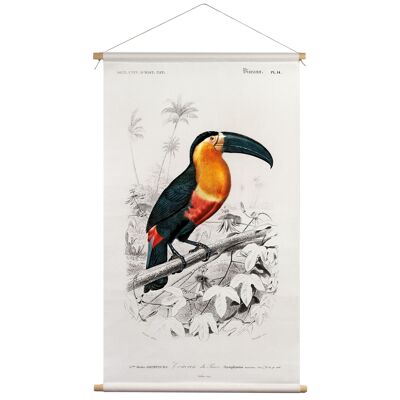 Wanddoek Toucan Charles D'Orbigny 65x45cm - textielposter met leren koord