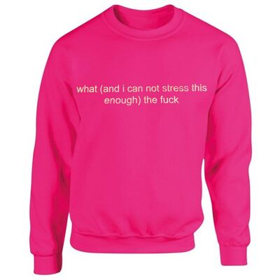 What (and I cannot stress this enough) the Fuck Pink Unisex Sweater ONE WEEK PRE-ORDER