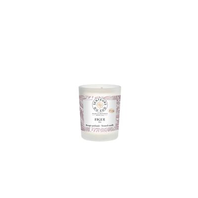 Scented candle 75g Fig tree -Provence