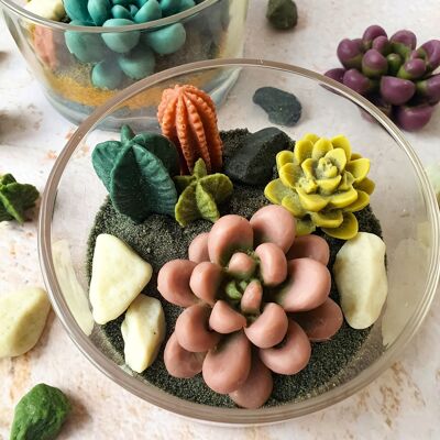 Kit de bougies succulentes de terrarium bricolage