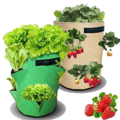 Planter bag for strawberries or salads