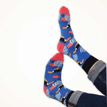 Chaussettes colorées Chaussettes pour oiseaux Lustige Socken 3