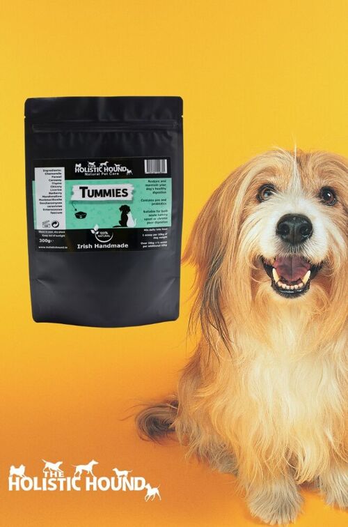 Tummies - A food supplement for dogs who are prone to sickness and gastritis