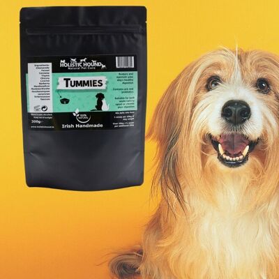 Tummys – Ein Nahrungsergänzungsmittel für Hunde, die zu Übelkeit und Gastritis neigen