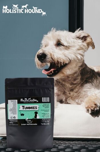 Tummies - Un complément alimentaire pour les chiens sujets aux maladies et aux gastrites 6