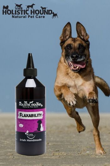 Flaxability - Supplément contre l'arthrite pour soutenir la mobilité et la force. 4