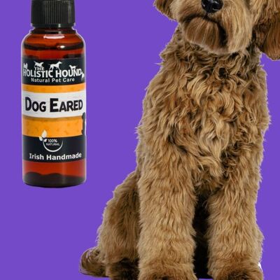 Dog Eared! - Natural and effective ear drops for cleaning and healing in-ear infections.