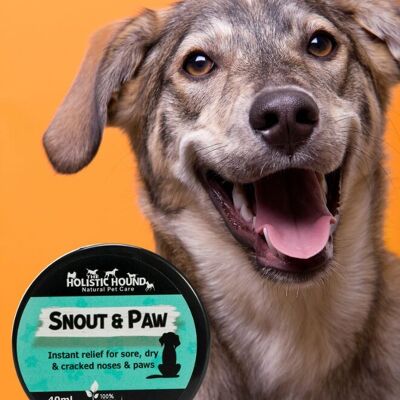 Snout & Paw Balm - Un baume à base de plantes pour le traitement des nez et des pattes douloureux, secs et gercés.