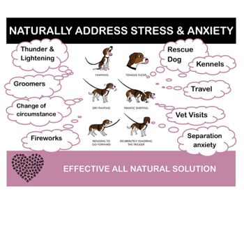Calm & Balmy – Un remède à action rapide pour soulager l’anxiété et réduire le stress. 6