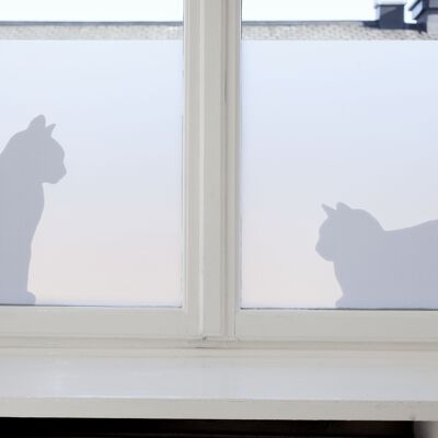 Katzen, statisch haftende Fensterfolie