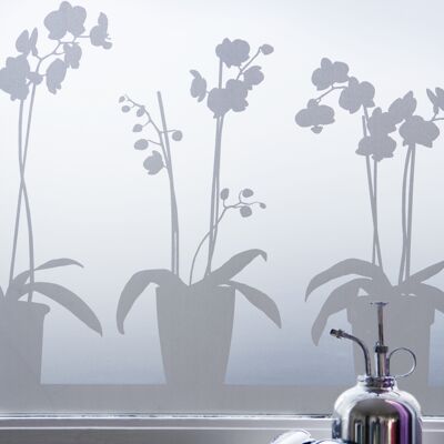 Orchidées en pots, film pour vitres agrippant statique