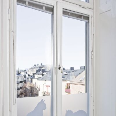 Gatti in finestra, pellicola per vetri antistatica