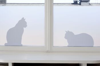 Chats dans la fenêtre, film adhésif pour fenêtre statique 2