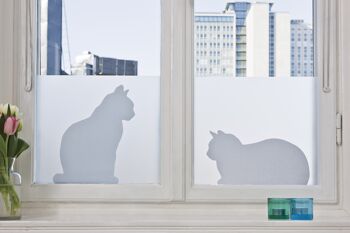 Chats dans la fenêtre, film adhésif pour fenêtre statique 3