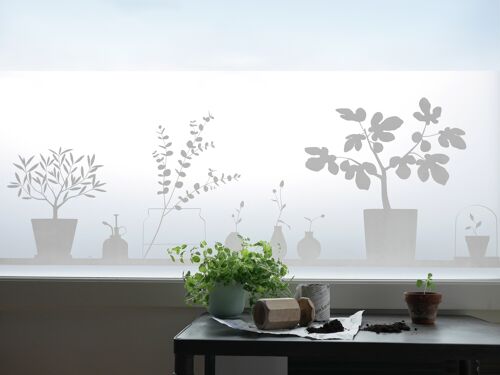 Stilleben, static cling window film