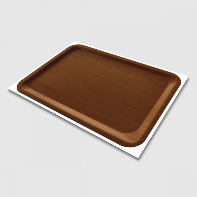 MEAL TRAY PLACEMATS