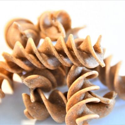 ORGANIC FUSILLI 100% LENTILLON 250G