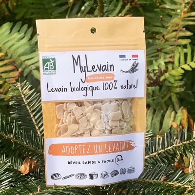 MYLEVAIN - Paillettes de levain naturel - Levain de garde, Millésime 2009 - Sachet 50gr