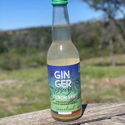 Organic ginger beer Lime - 33 cL
