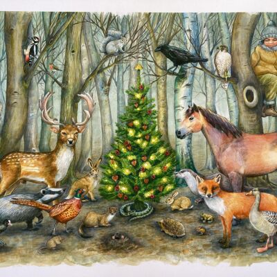 Whose Poo? Woodland Advent Calendar