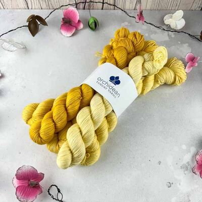 Pure Merino Shfades Gradient Sets - Amber Waves