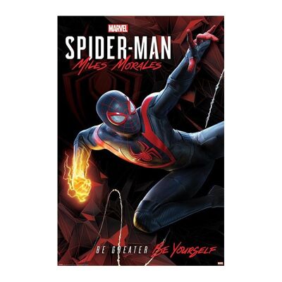 Poster laminato: Spider man 61 cm x 91 cm
