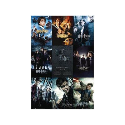 Poster plastifié: Harry Potter 61cm x 91cm I