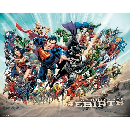Poster plastifié: DC Universe 40cm x 50cm