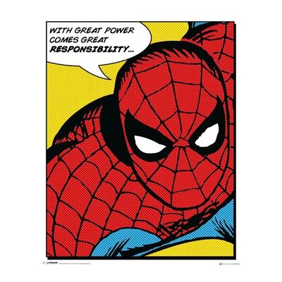 Poster laminato: fumetti Spiderman 40 cm x 50 cm