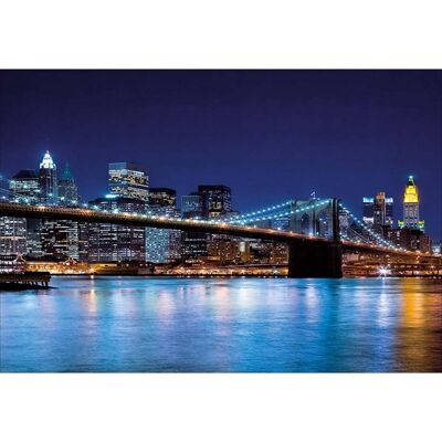 Poster laminato: notte di New York 40 cm x 50 cm