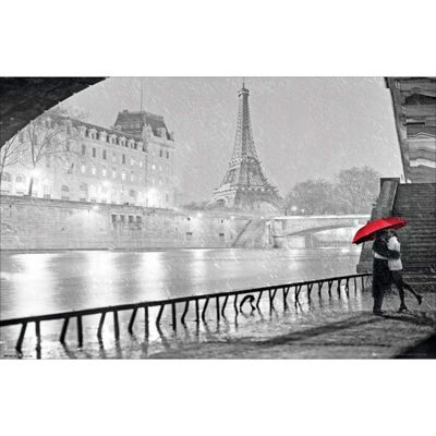 Laminated poster: Quais de Paris 40cm x 50cm