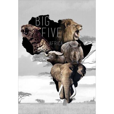 Póster laminado: Big Five Africa 61cm x 91cm