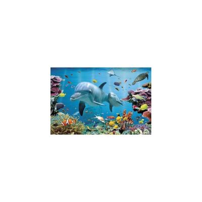 Laminated poster: Fish dolphins 61cm x 91cm