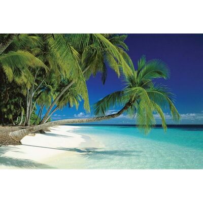 Laminated poster: Maldives Beach 61cm x 91cm