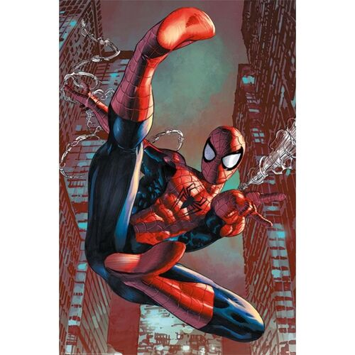 Poster plastifié: Spiderman 61cm x 91cm
