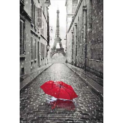 Laminiertes Poster: Rue Paris 61cm x 91cm